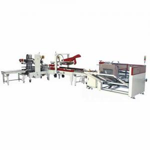 Automatic Carton Erect, folding and Sealing Line